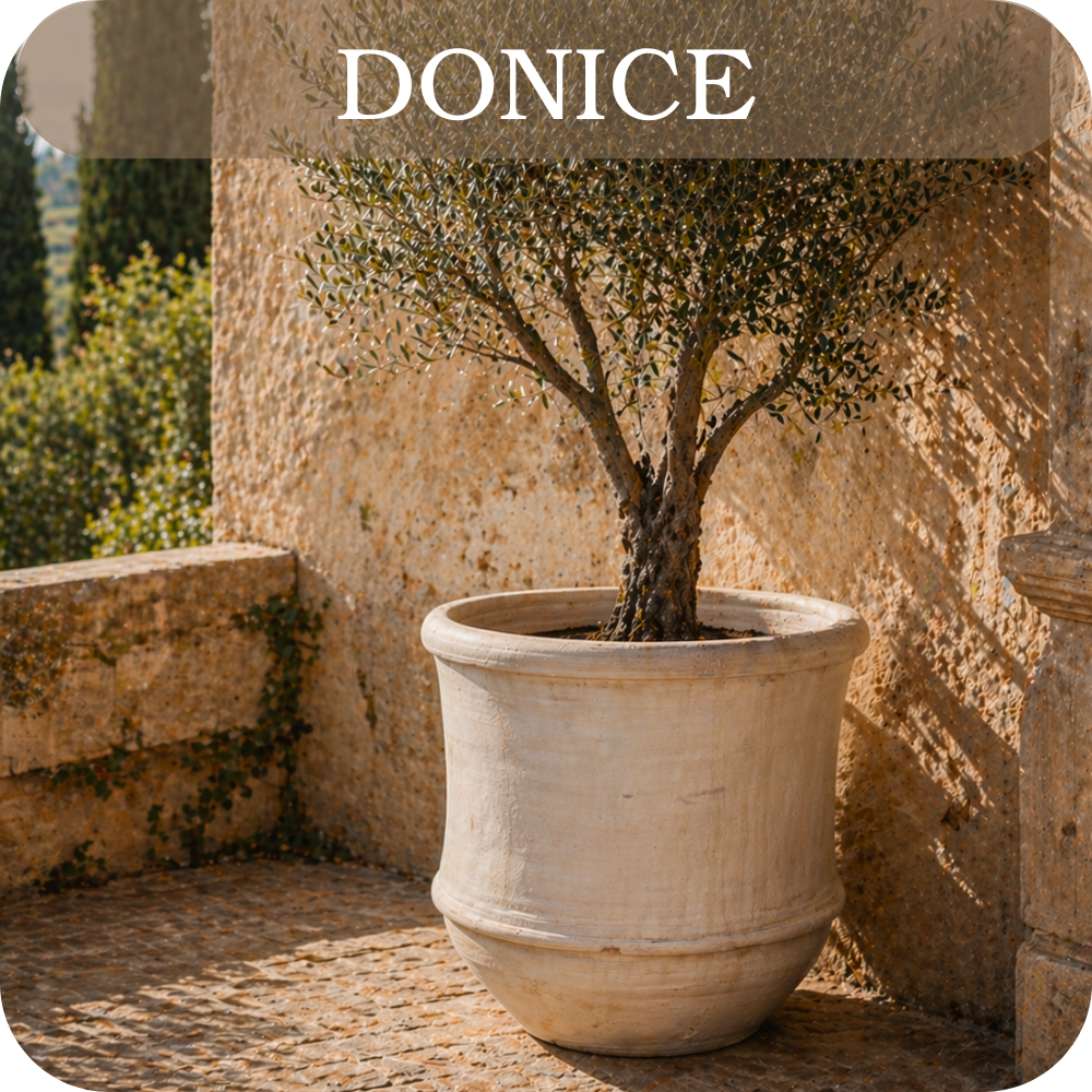 Zdjęcia kategorii 1